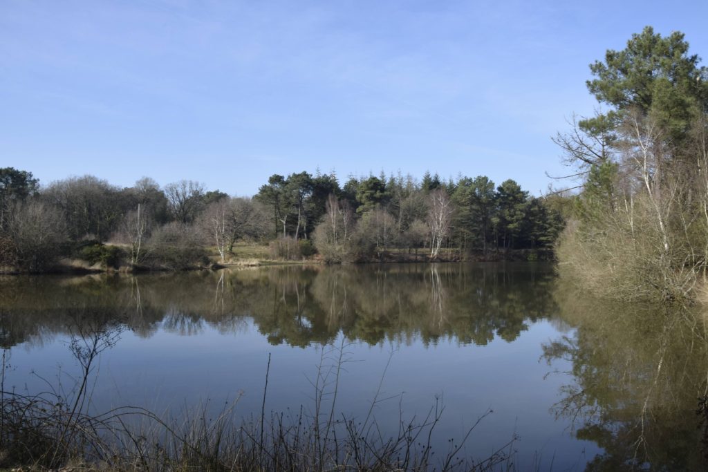 Monteneuf (68)
