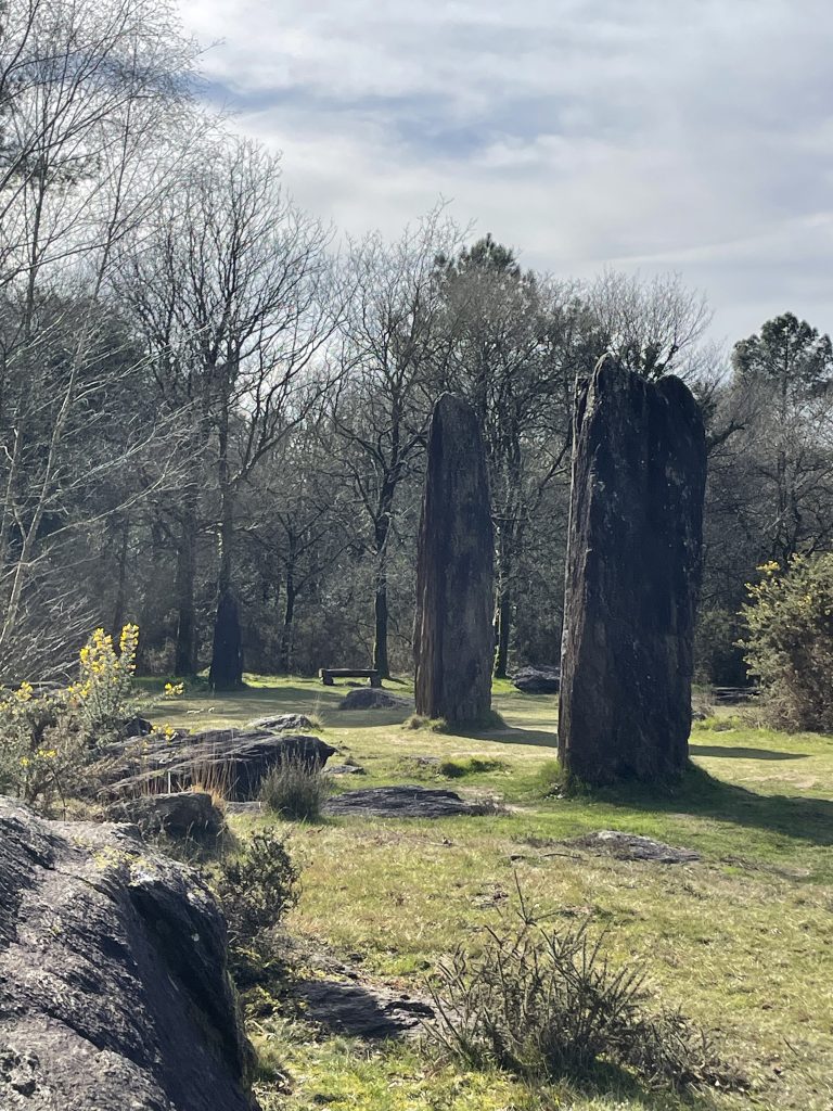 Photos_Monteneuf-OBC_FB-N°07_Menhirs